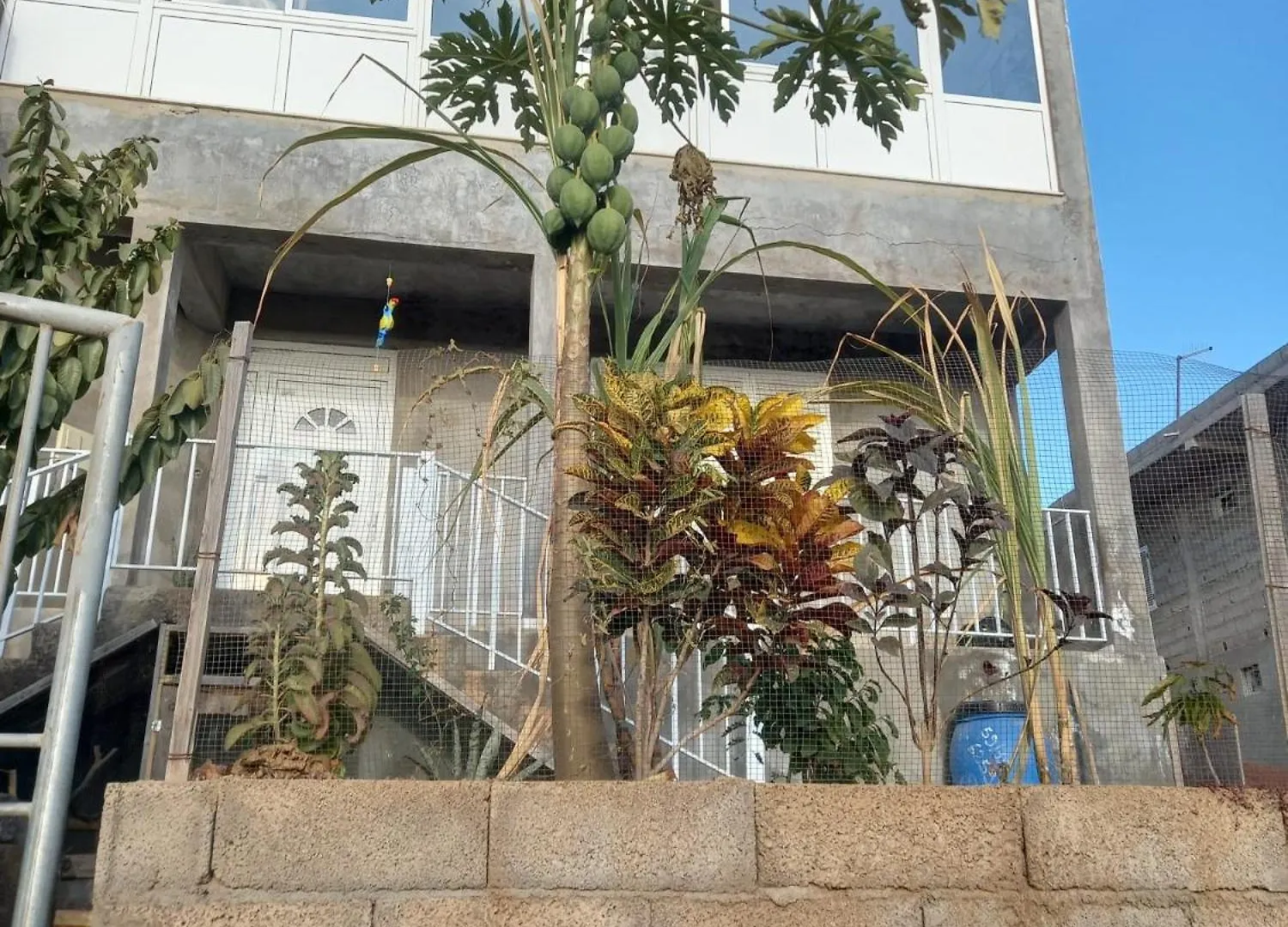 Homestay Casa Graciosa Apartment Tarrafal